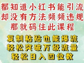 小红书掘金虚拟兼职攻略，适合个人操作的月入过万方法