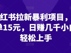 如何利用小红书掘金项目赚钱，零基础实现日入四位数的秘诀