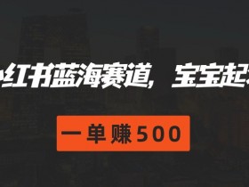 如何利用小红书掘金项目赚钱，零基础实现日入四位数的秘诀