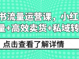 如何利用小红书掘金项目赚钱，零基础实现日入四位数的秘诀