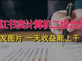 如何利用小红书掘金项目赚钱，零基础实现日入四位数的秘诀