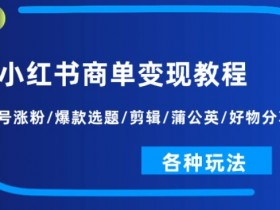 小红书掘金虚拟资源蓝海赛道，日入300+的冷门操作分享