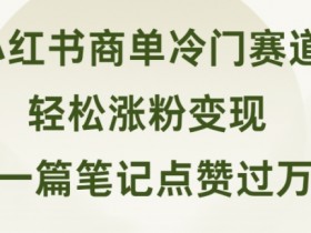 小红书掘金虚拟资源蓝海赛道，日入300+的冷门操作分享