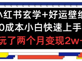 小红书掘金虚拟资源蓝海赛道，日入300+的冷门操作分享