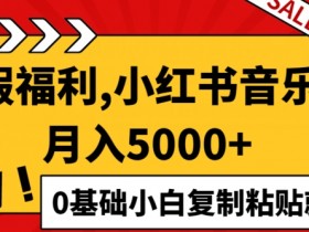 小红书掘金是什么意思，虚拟项目与私域流量的结合玩法