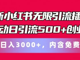 如何通过小红书掘金月入5000+，蓝海赛道从引流到收益的流程