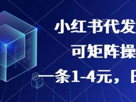 小红书短剧推广有哪些蓝海项目，赚钱玩法一篇全掌握