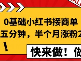 小红书短剧推广有哪些蓝海项目，赚钱玩法一篇全掌握