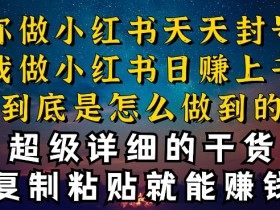 小红书短剧项目收益高吗，日入千元的搬砖玩法详解