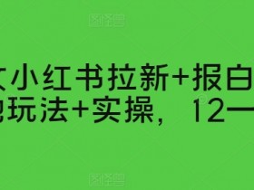 短剧推广全新玩法解析，小红书从零开始的引流教程