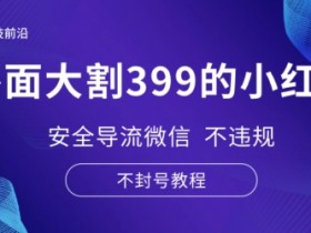 短剧推广全新玩法解析，小红书从零开始的引流教程