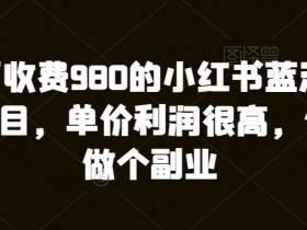 短剧推广全新玩法解析，小红书从零开始的引流教程