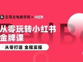 短剧推广全新玩法解析，小红书从零开始的引流教程