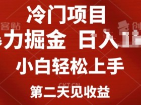 2025小红书短剧掘金攻略，日入千元的短视频红利项目