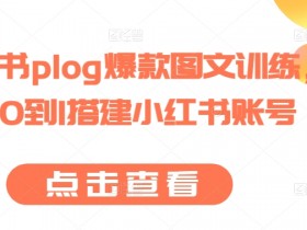 2025小红书短剧掘金攻略，日入千元的短视频红利项目