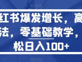 2025小红书短剧掘金攻略，日入千元的短视频红利项目