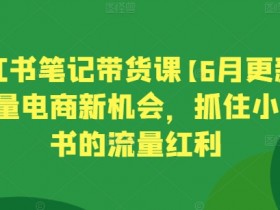 2025小红书短剧掘金攻略，日入千元的短视频红利项目