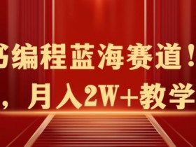 2025小红书短剧掘金攻略，日入千元的短视频红利项目