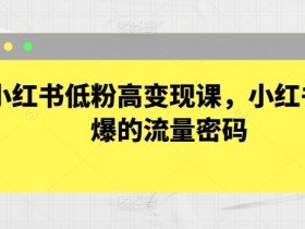 2025小红书短剧掘金攻略，日入千元的短视频红利项目