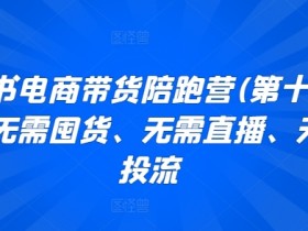 2025小红书短剧掘金攻略，日入千元的短视频红利项目