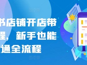 如何通过小红书短剧赚钱，零成本项目的实操教程