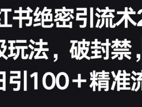 小红书短剧营销新玩法，精准推广与高转化策略分享