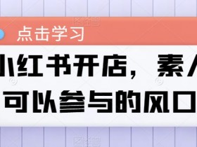 小红书短剧营销新玩法，精准推广与高转化策略分享