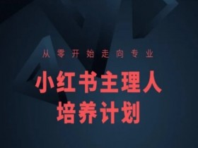 小红书短剧营销新玩法，精准推广与高转化策略分享