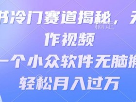 小红书短剧营销新玩法，精准推广与高转化策略分享