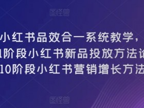 小红书短剧营销新玩法，精准推广与高转化策略分享