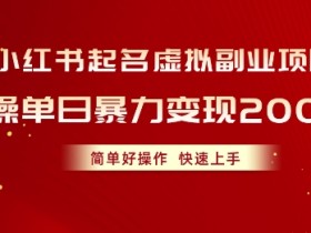 小红书短剧营销新玩法，精准推广与高转化策略分享