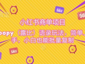 小红书短剧盈利模式揭秘，如何通过搬砖实现月入过万