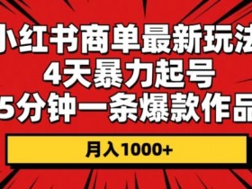 小红书短剧盈利模式揭秘，如何通过搬砖实现月入过万