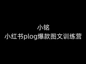 小红书短剧推广有哪些蓝海项目，赚钱玩法一篇全掌握