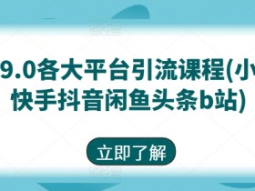 小红书短剧推广有哪些蓝海项目，赚钱玩法一篇全掌握