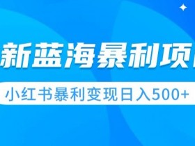 小红书短剧推广有哪些蓝海项目，赚钱玩法一篇全掌握