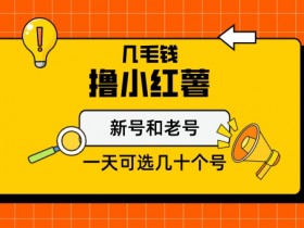 如何用小红书实现精准引流，从内容发布到私域转化的全教学