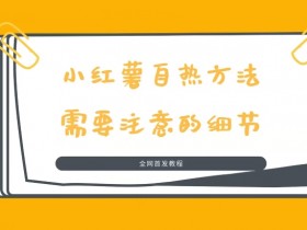 如何用小红书实现精准引流，从内容发布到私域转化的全教学