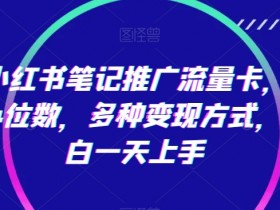 如何用小红书实现精准引流，从内容发布到私域转化的全教学