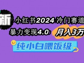 小红书运营项目计划书，适合新手的小红书运营模板分享