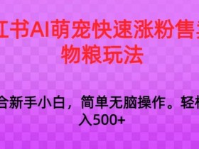 小红书运营项目计划书，适合新手的小红书运营模板分享