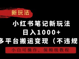 小红书运营项目经历，如何展示你的运营能力与成果？