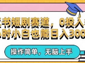 小红书运营推广的必要步骤，从内容策划到精准引流全解析