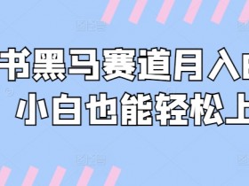 如何用小红书提升品牌曝光，从内容优化到流量转化的全流程