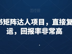 小红书运营攻略干货，手把手教你如何从0到1玩转平台