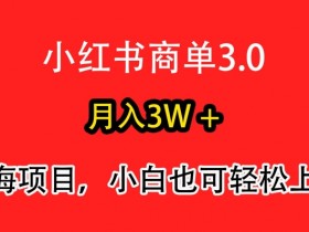 小红书运营如何吸引精准流量，打造高效引流笔记的实操分享