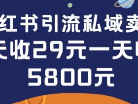 小红书代运营服务值不值得做，优劣势分析与用户体验分享