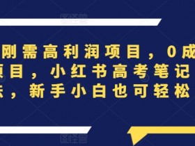 小红书代运营服务值不值得做，优劣势分析与用户体验分享