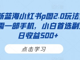 小红书代运营服务值不值得做，优劣势分析与用户体验分享