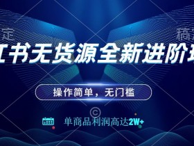 小红书精准引流的方法有哪些，实战技巧助你获取精准用户